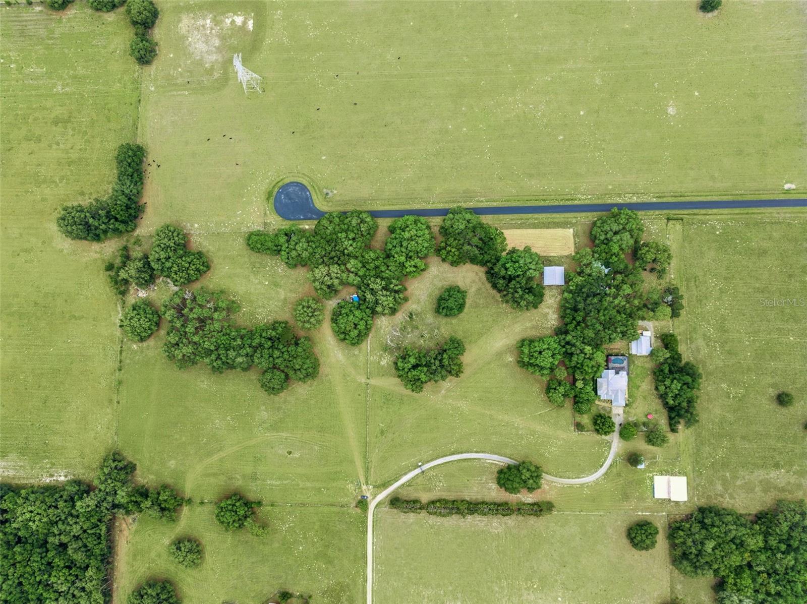 36203 MICRO RACETRACK RD, FRUITLAND PARK, FL, 34731