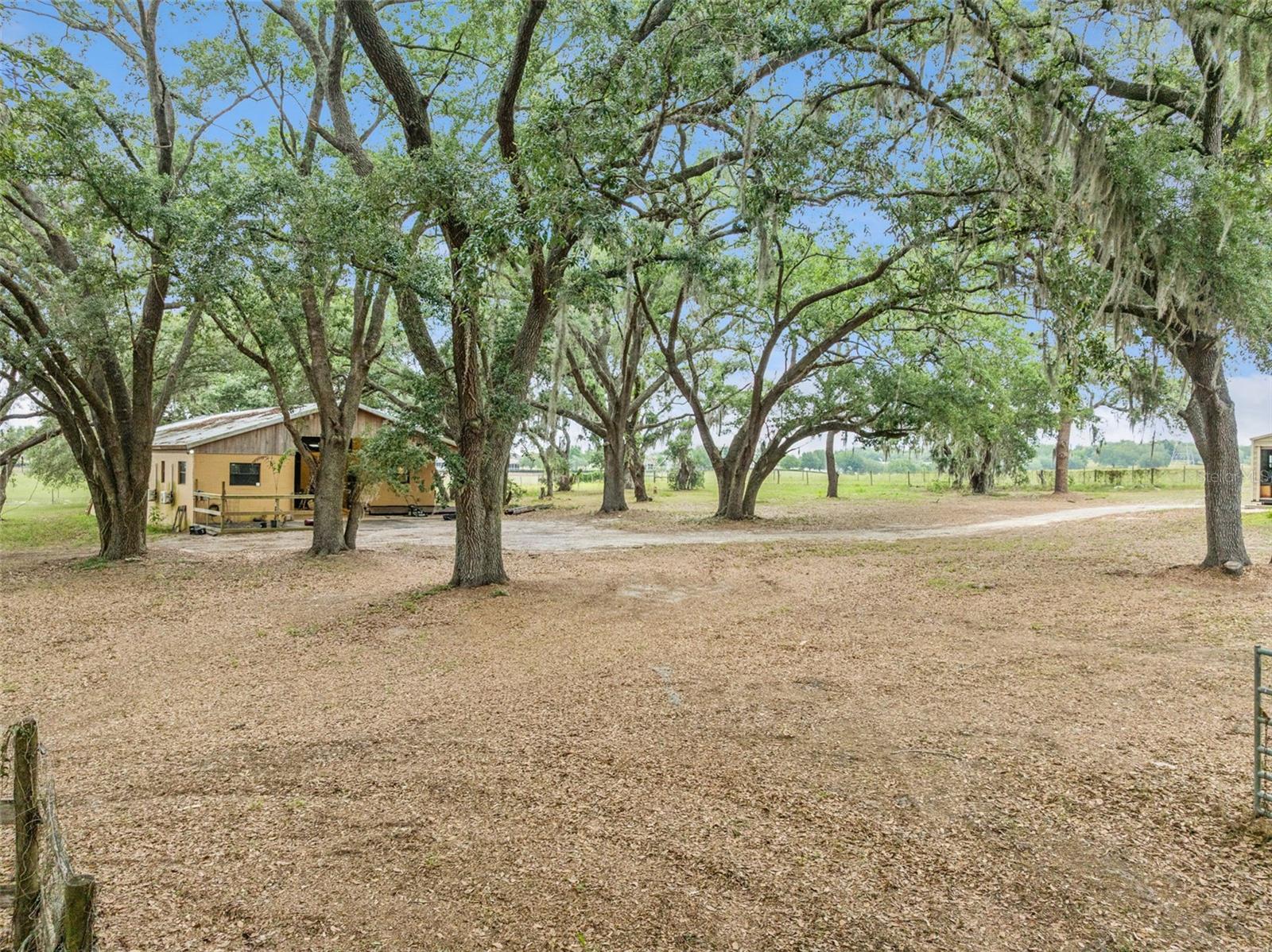 36203 MICRO RACETRACK RD, FRUITLAND PARK, FL, 34731