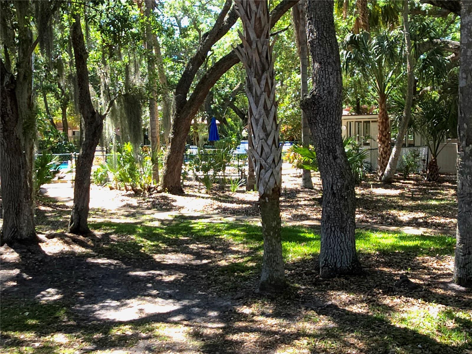 3407 FALCON PL, BRADENTON, FL, 34210