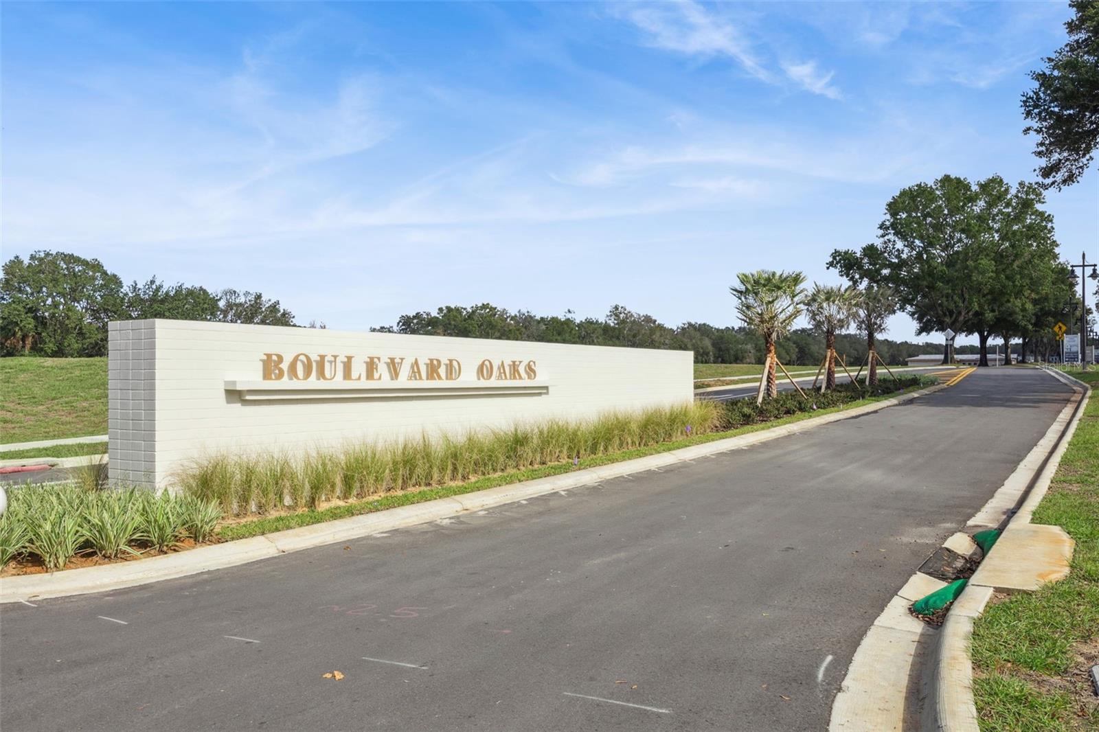 446 SKYFIELD CT, LADY LAKE, FL, 32159