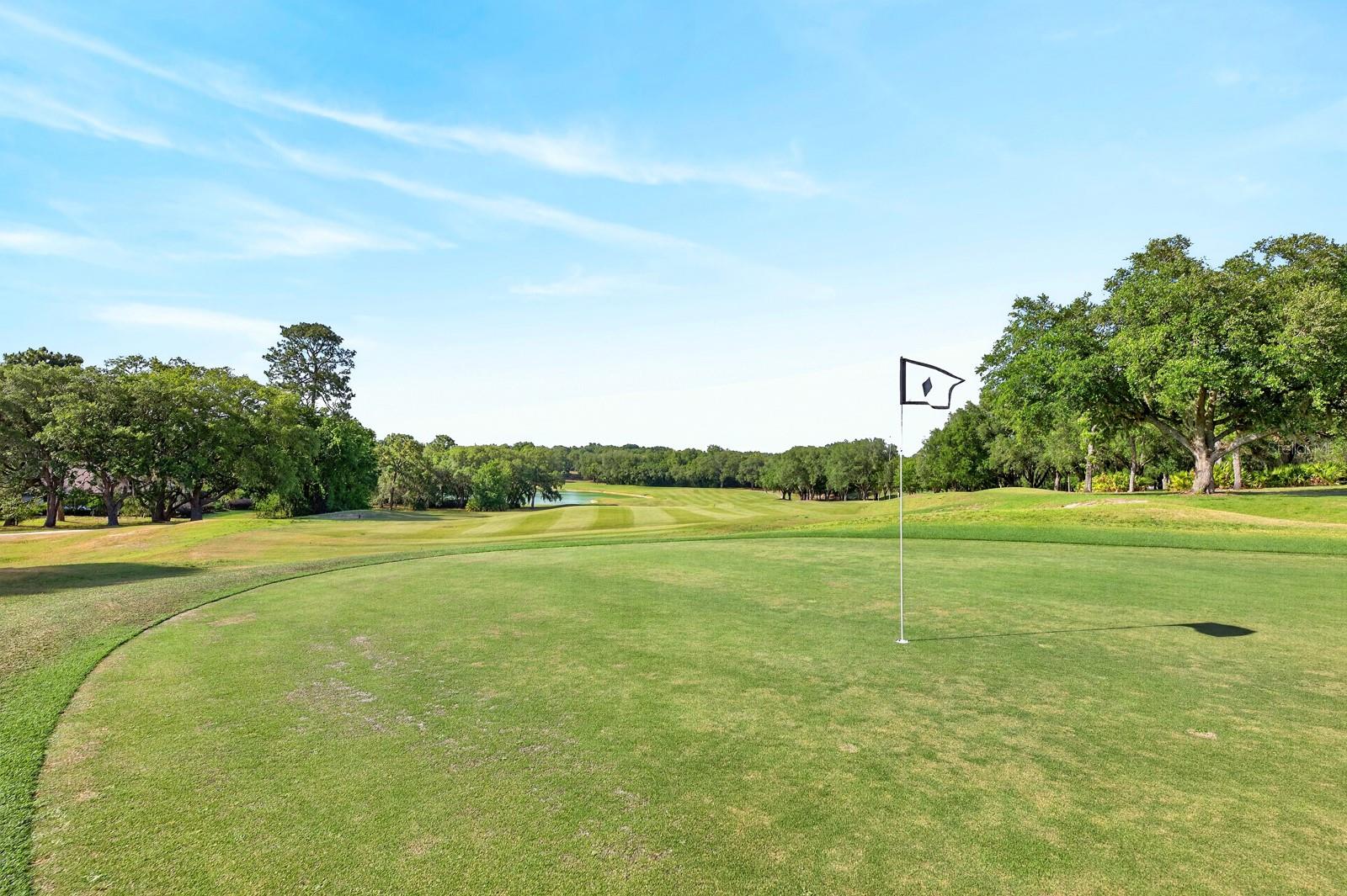 3175 W PEBBLE BEACH CT, LECANTO, FL, 34461