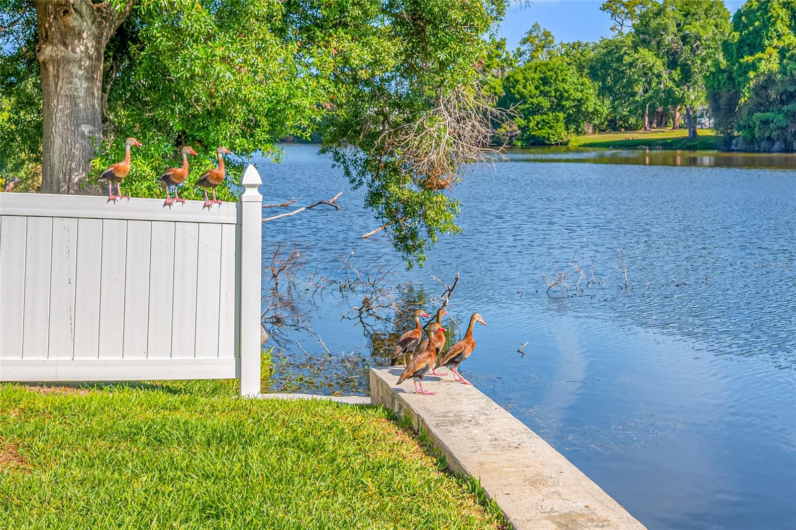 2515 DESOTO WAY S, ST PETERSBURG, FL, 33712