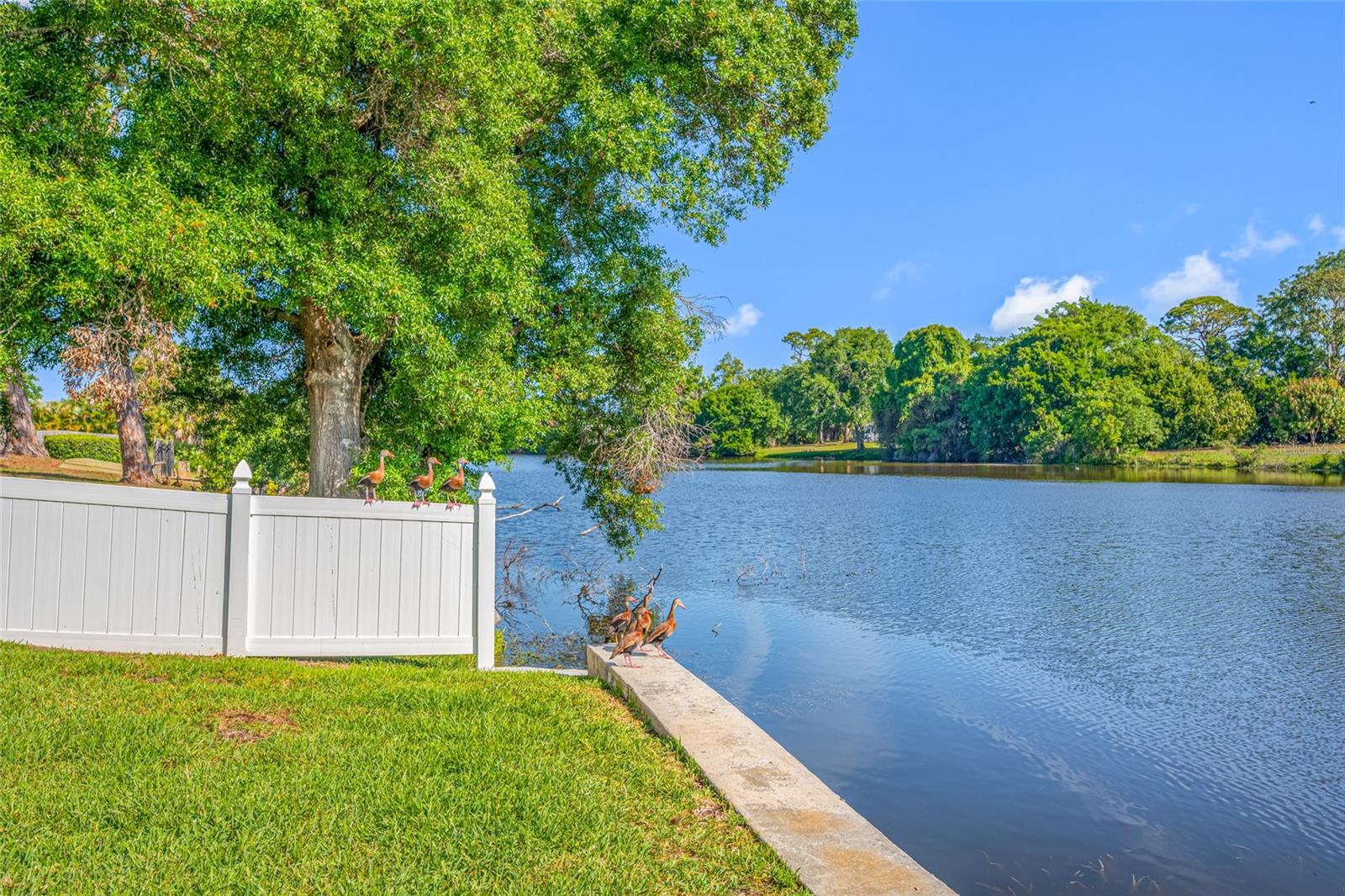 2515 DESOTO WAY S, ST PETERSBURG, FL, 33712