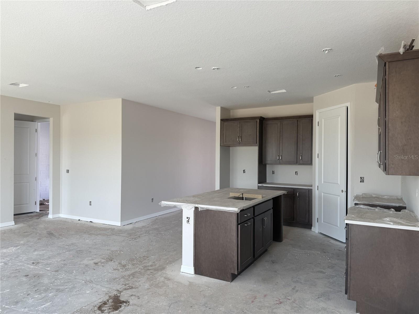 5919 FRESH FLORA DRIVE, WIMAUMA, FL, 33598