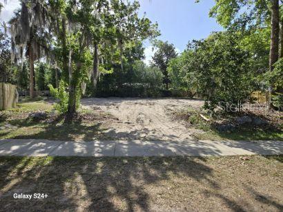 HIGH SPRINGS MAIN STREET, HIGH SPRINGS, FL, 32643
