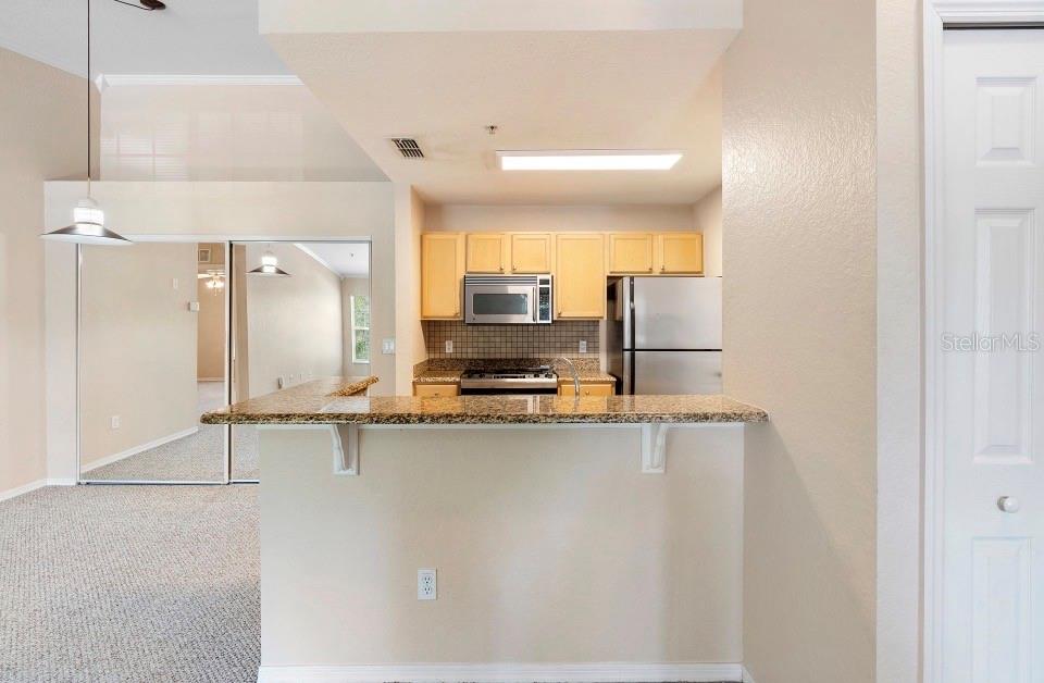 910 REGATTA BAY DR #5-201, ORANGE CITY, FL, 32763