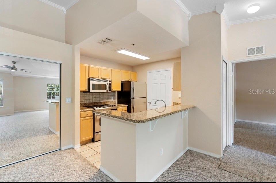 910 REGATTA BAY DR #5-201, ORANGE CITY, FL, 32763