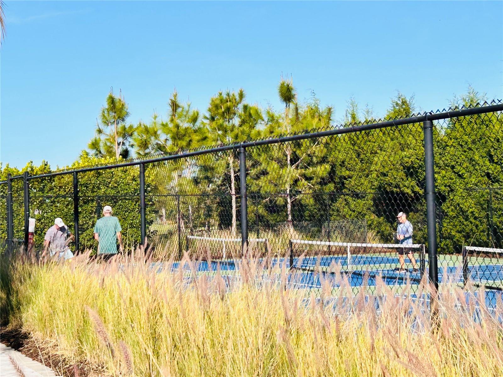208 CORELLI DR, NOKOMIS, FL, 34275