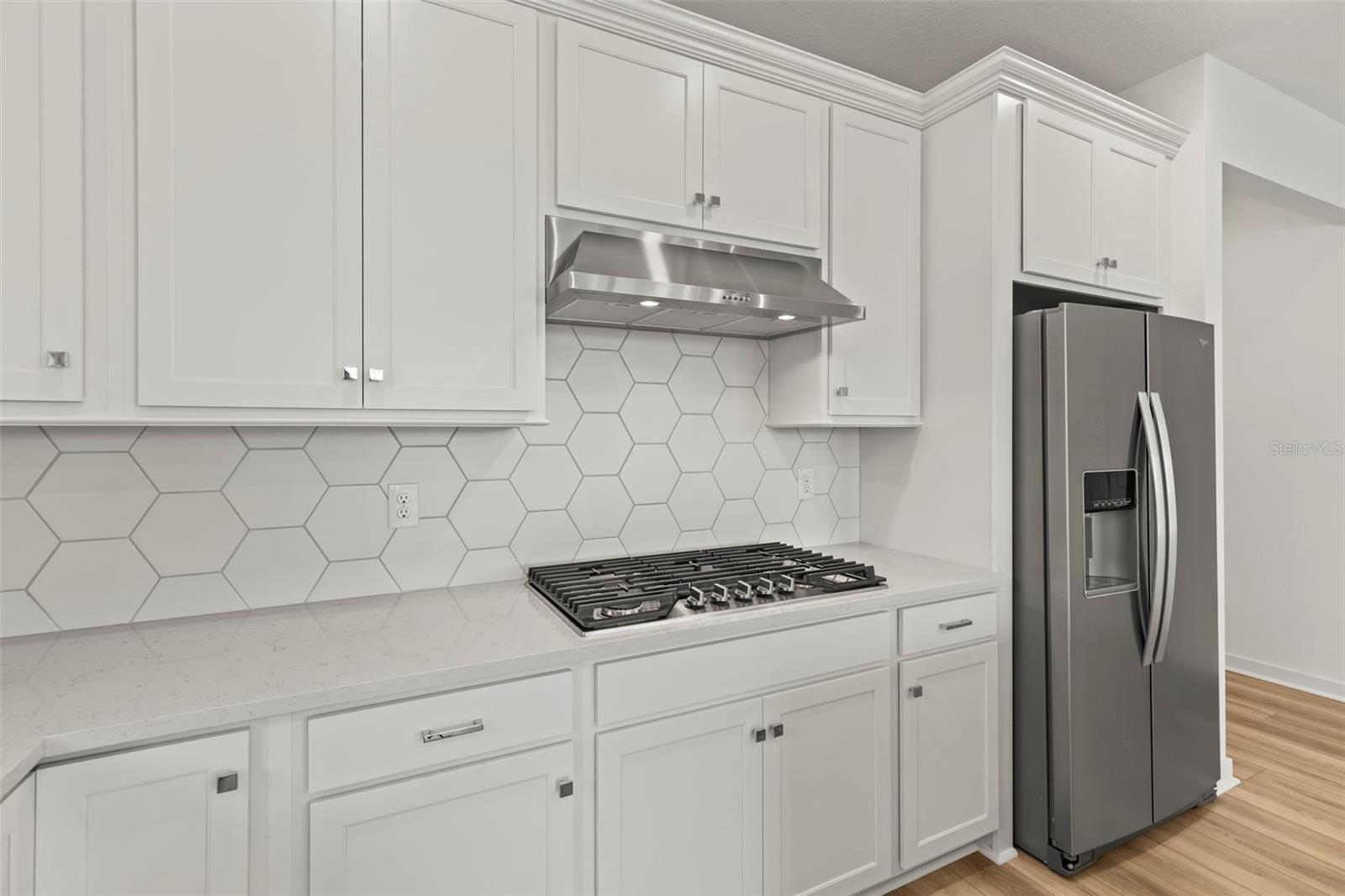 6703 MICHAEL FAVOR WAY, WESLEY CHAPEL, FL, 33545