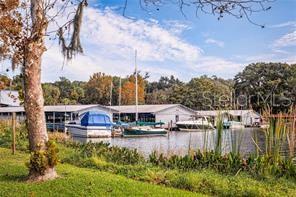 8228 BRIDGEPORT BAY CIR, MOUNT DORA, FL, 32757