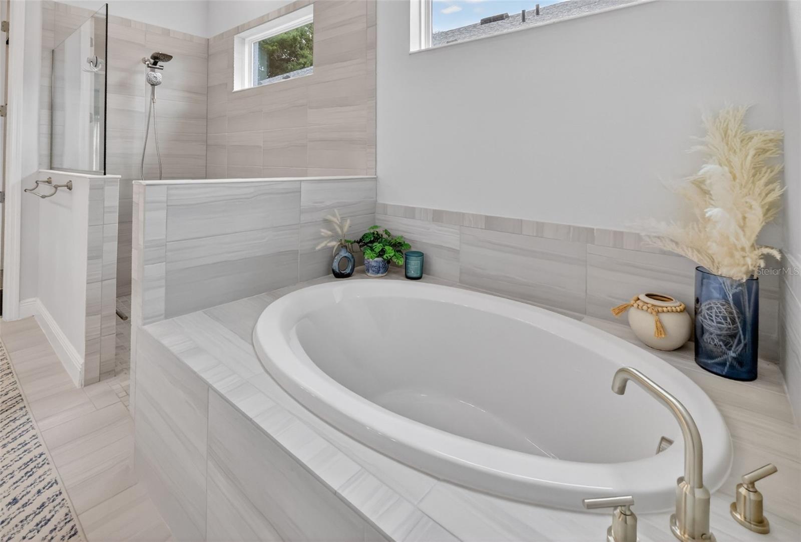 8228 BRIDGEPORT BAY CIR, MOUNT DORA, FL, 32757
