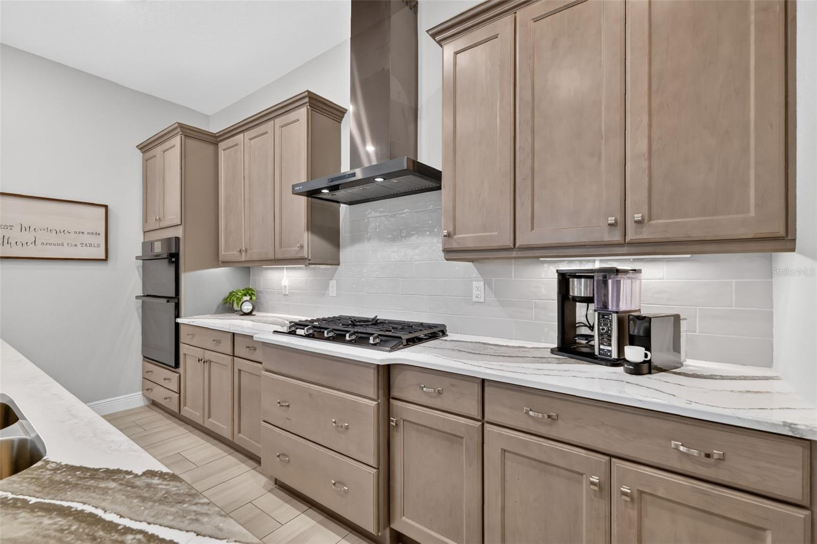 8228 BRIDGEPORT BAY CIR, MOUNT DORA, FL, 32757