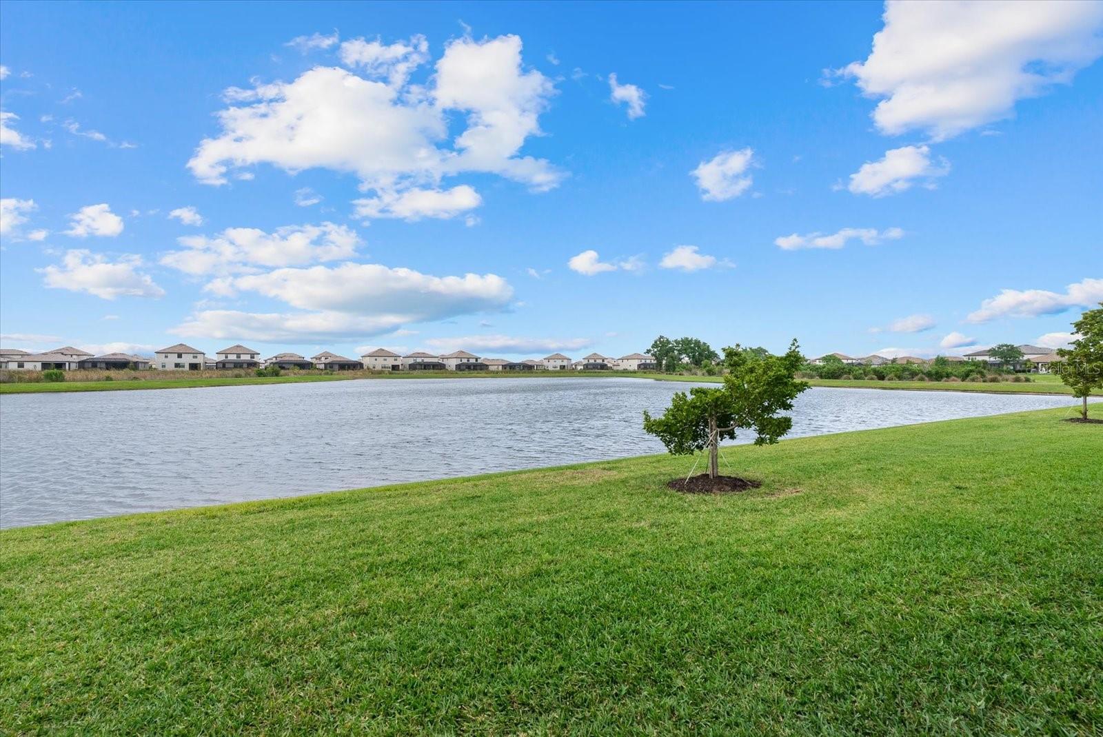 15171 SUNNY DAY DR, BRADENTON, FL, 34211