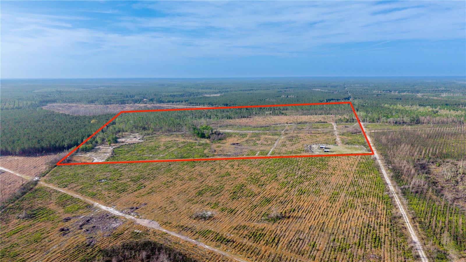 19977 NE 83RD WAY, GAINESVILLE, FL, 32609