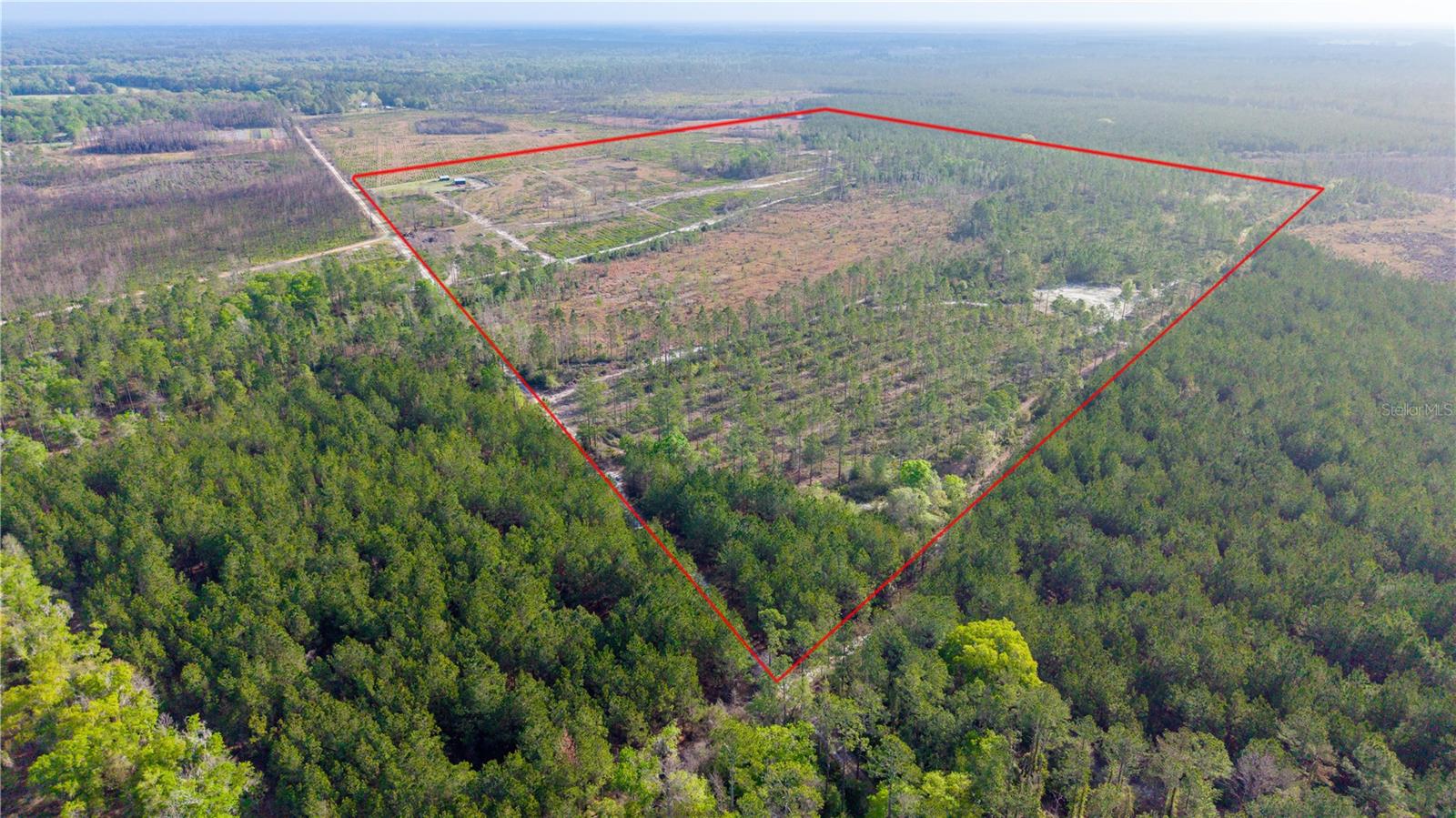 19977 NE 83RD WAY, GAINESVILLE, FL, 32609