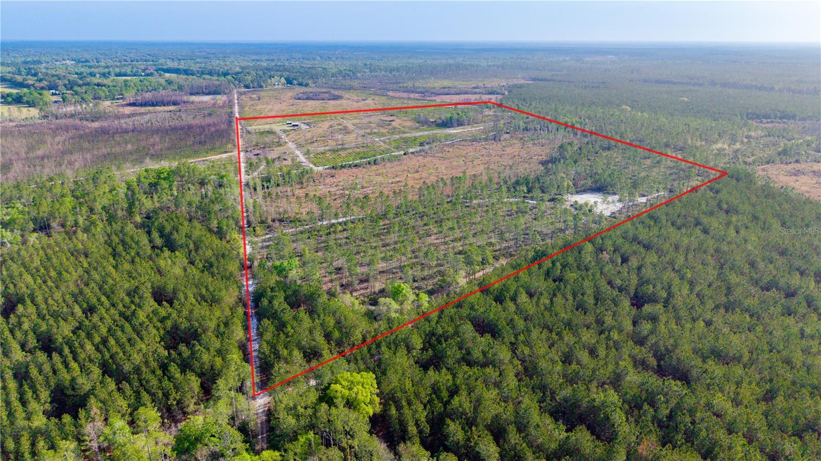 19977 NE 83RD WAY, GAINESVILLE, FL, 32609