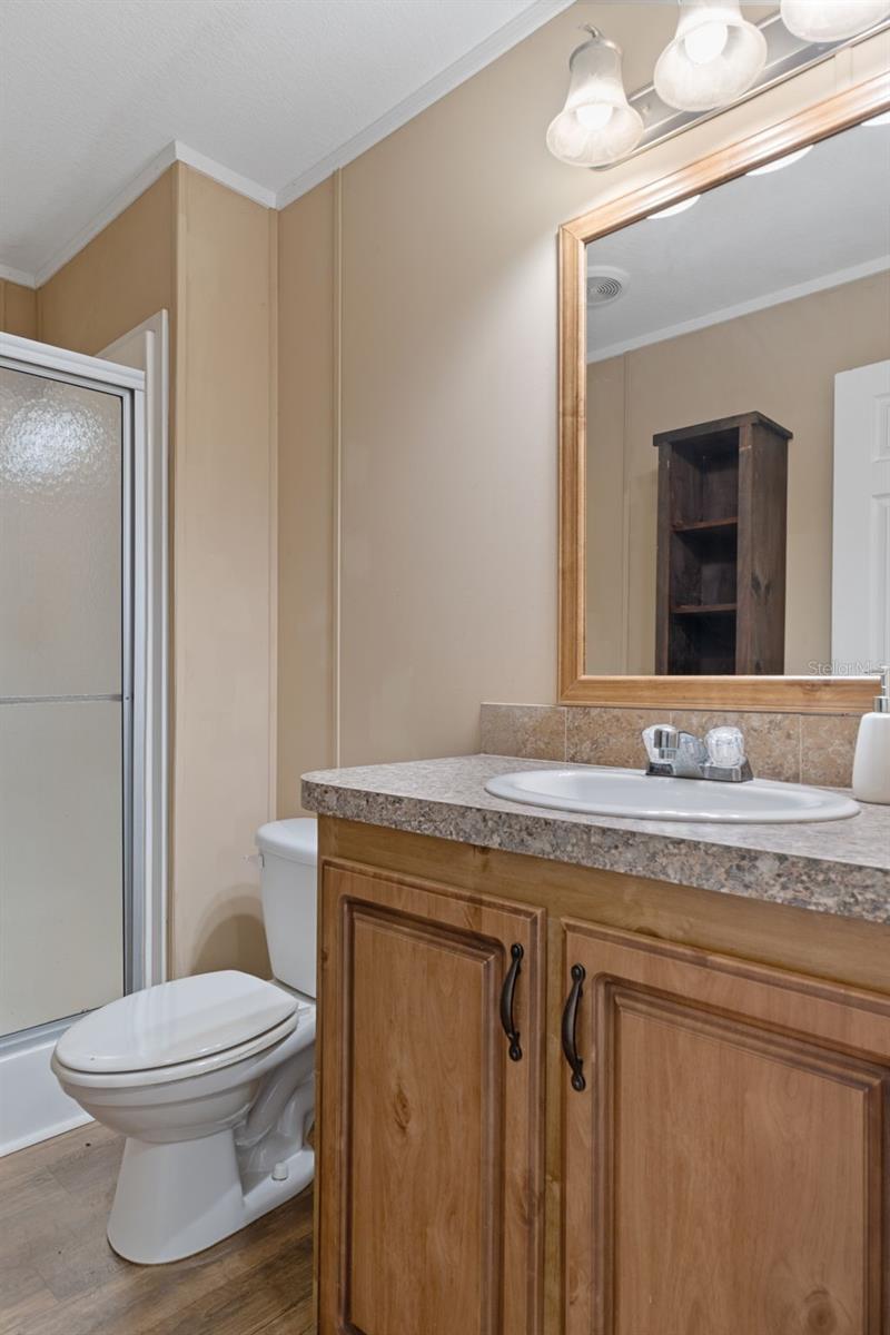 38616 COLEEN AVE, ZEPHYRHILLS, FL, 33540