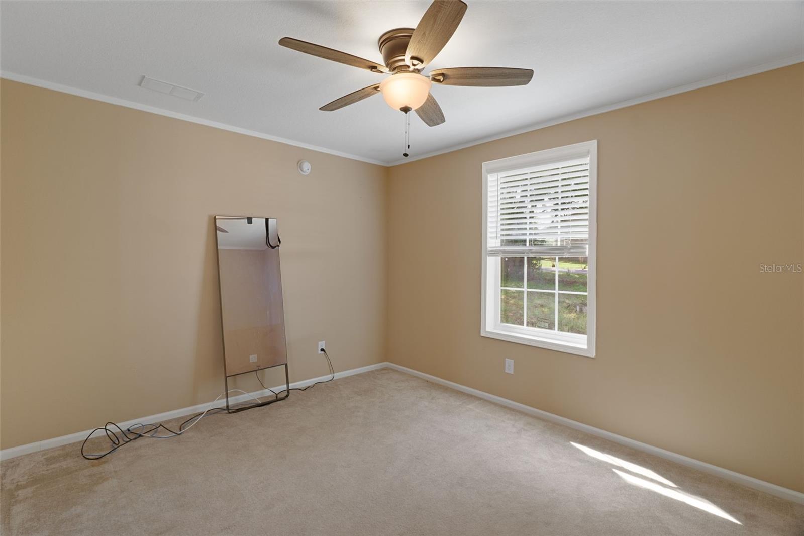38616 COLEEN AVE, ZEPHYRHILLS, FL, 33540