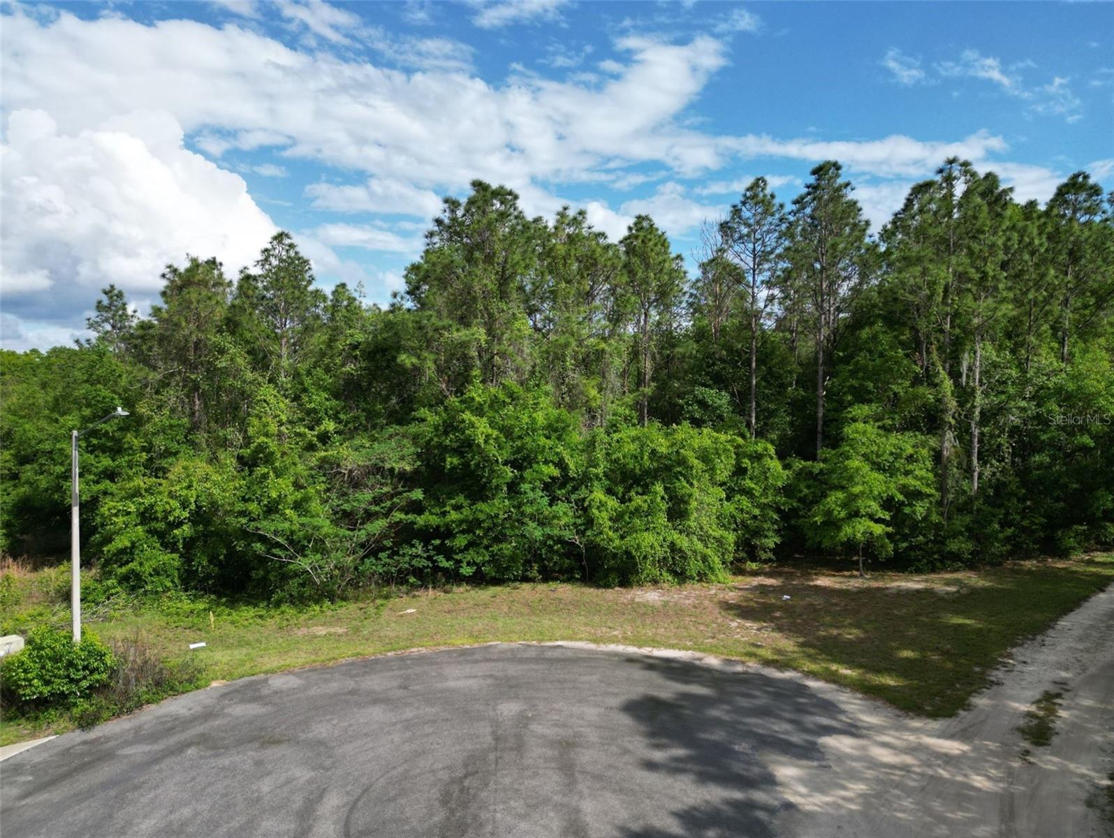0000 SE 119 ST, BELLEVIEW, FL, 34420