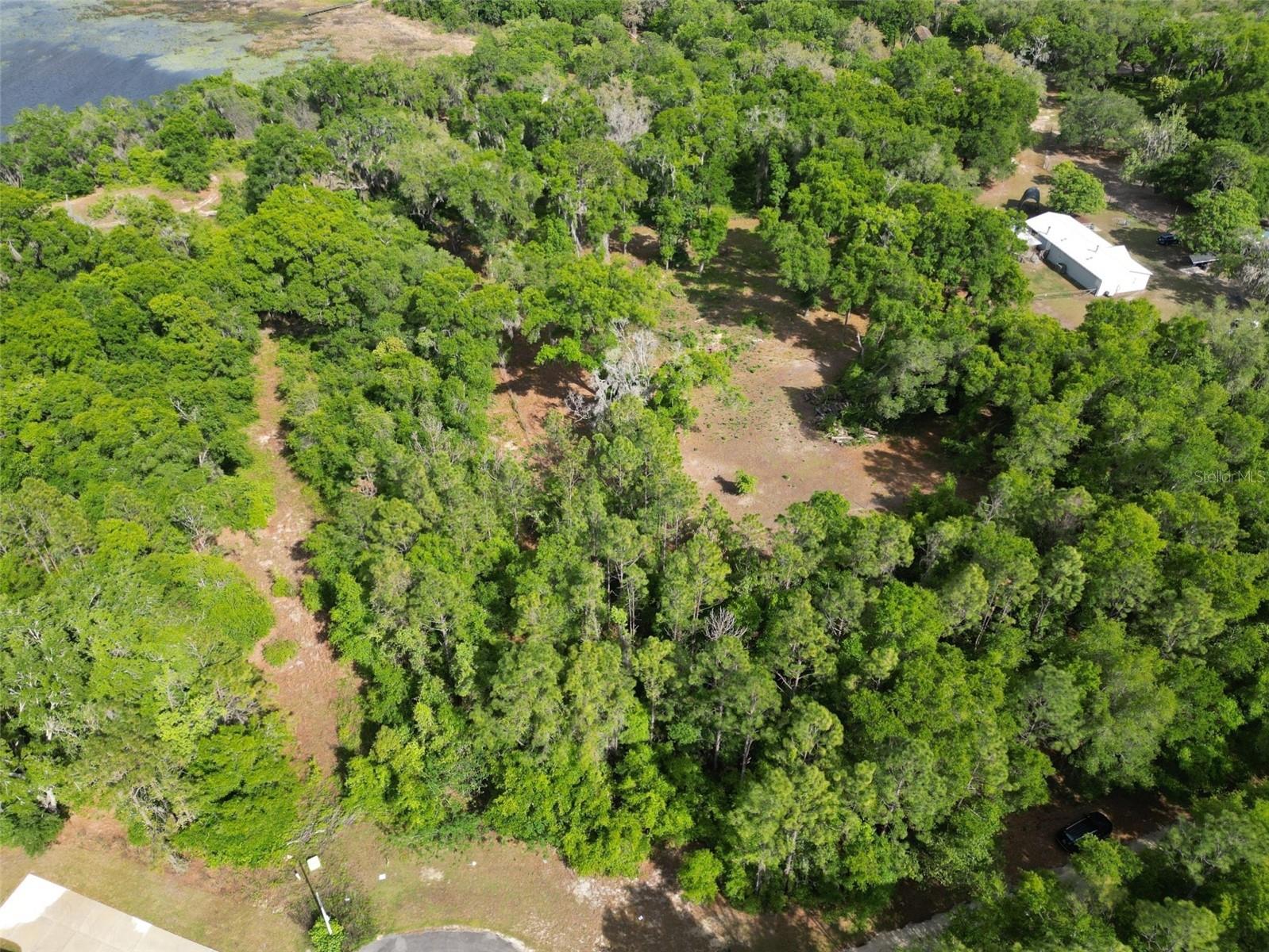 0000 SE 119 ST, BELLEVIEW, FL, 34420