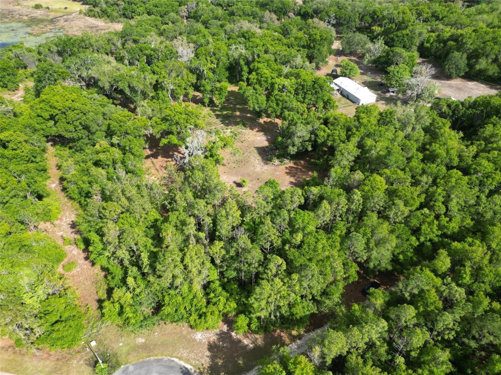 0000 SE 119 ST, BELLEVIEW, FL, 34420