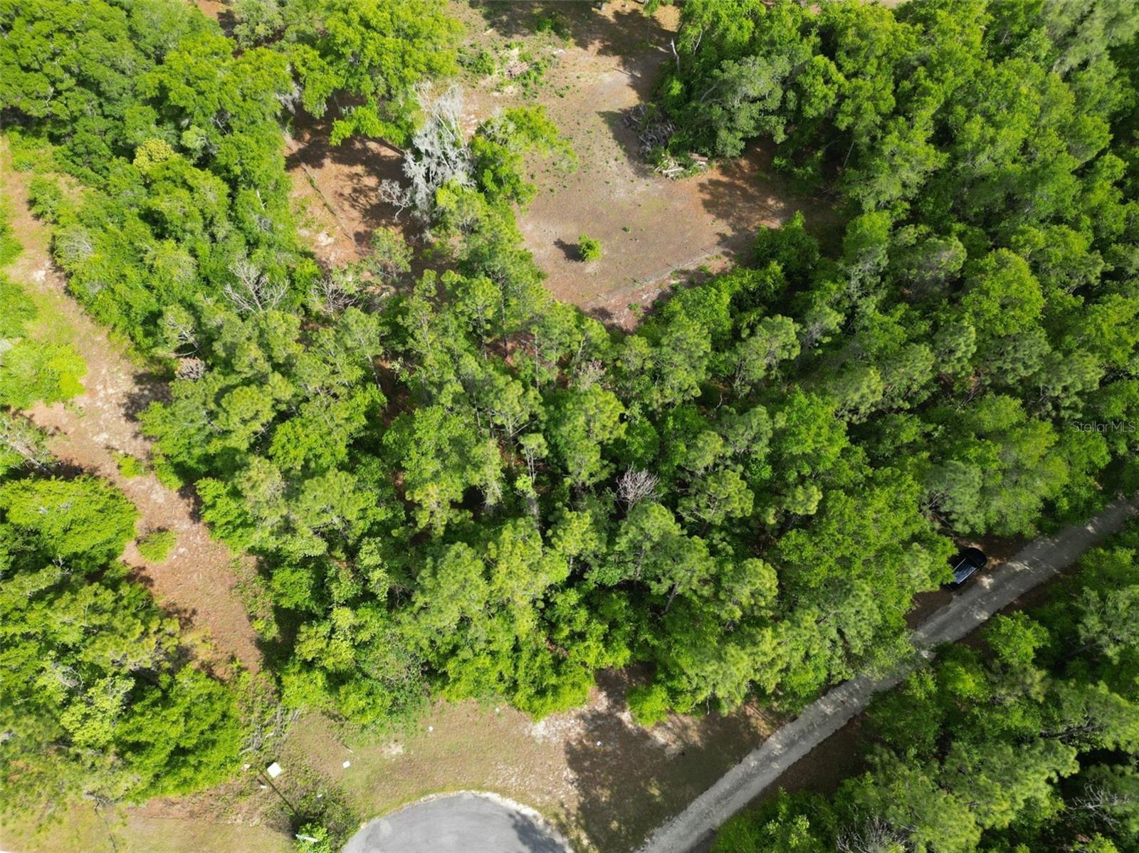 0000 SE 119 ST, BELLEVIEW, FL, 34420
