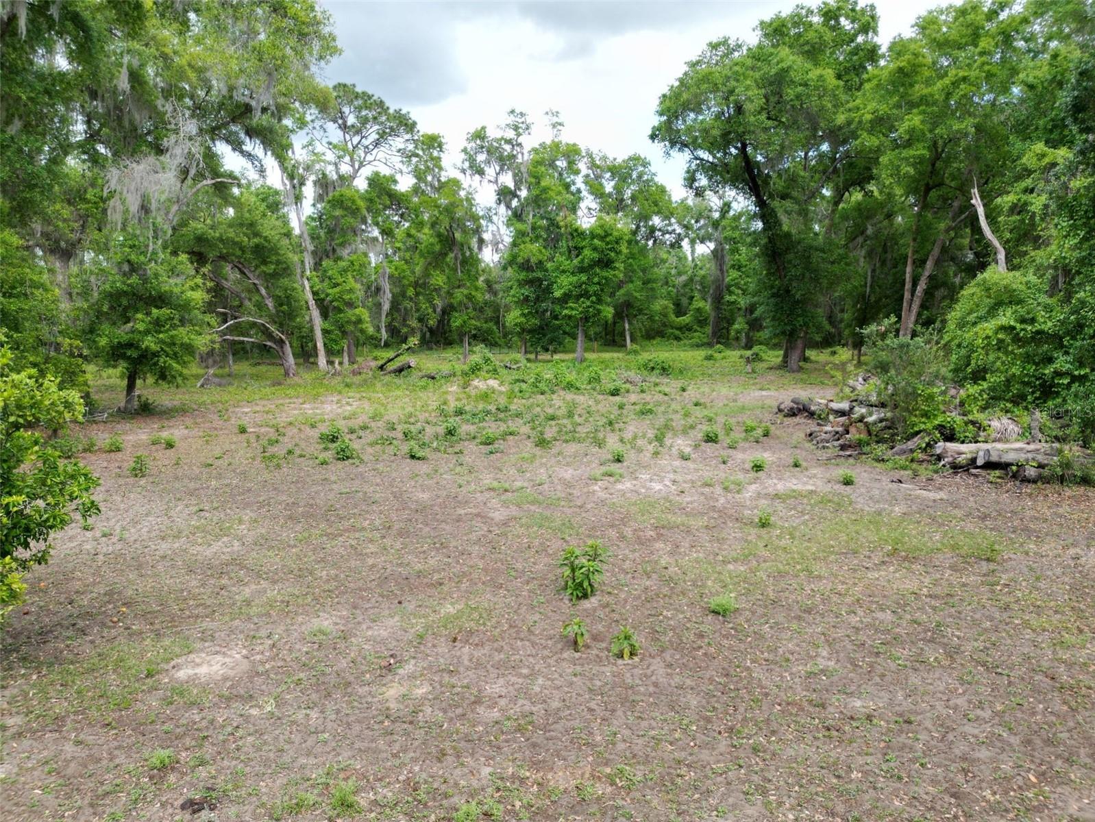 0000 SE 119 ST, BELLEVIEW, FL, 34420