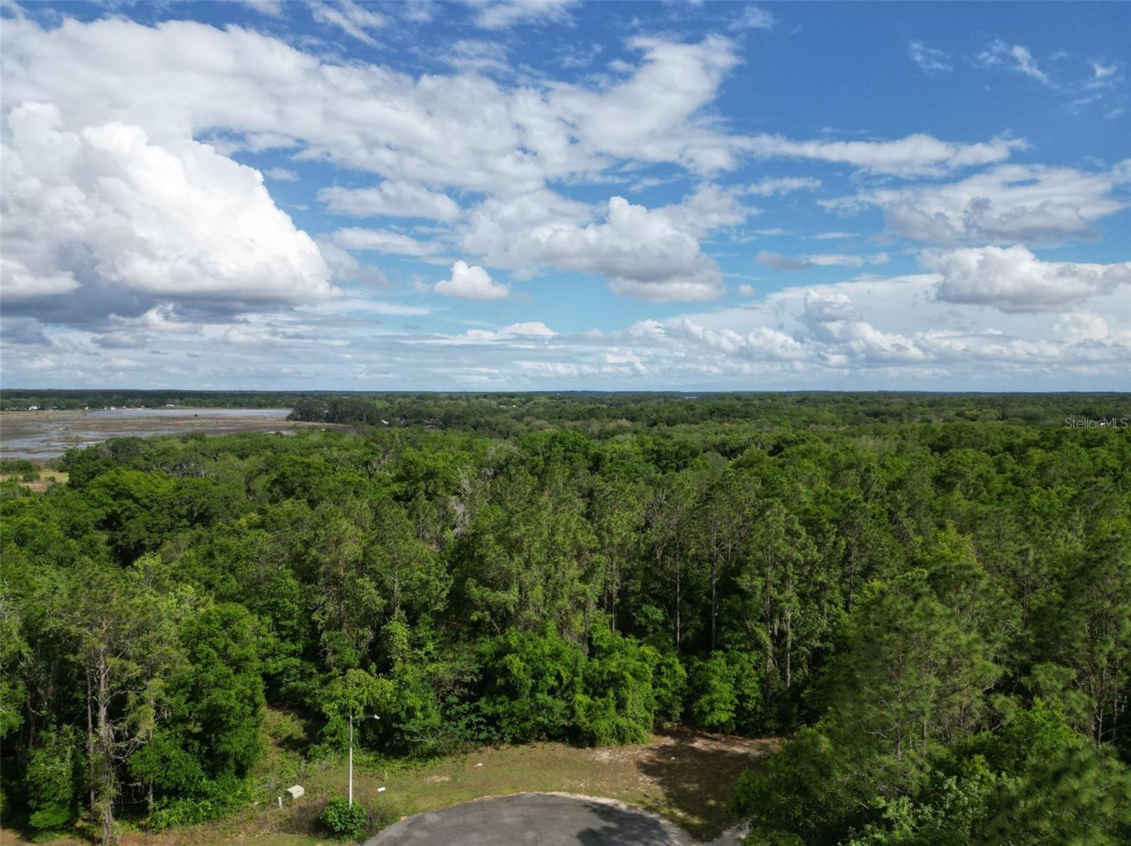 0000 SE 119 ST, BELLEVIEW, FL, 34420