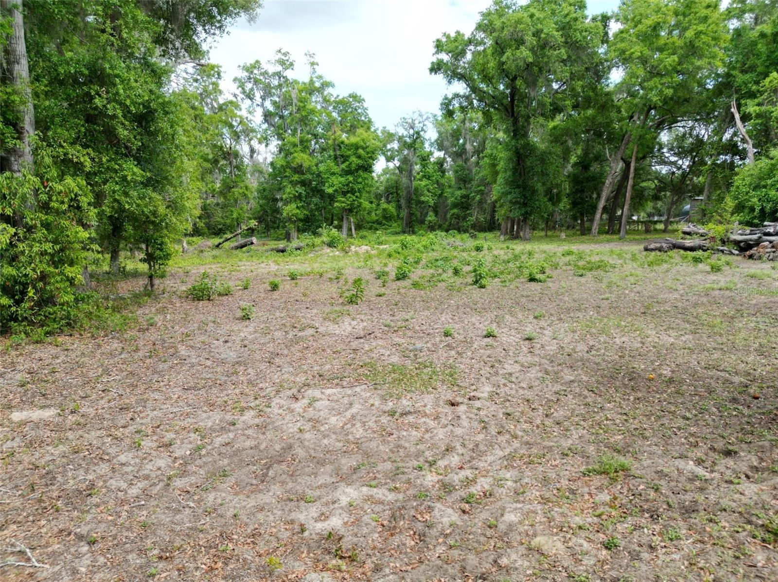0000 SE 119 ST, BELLEVIEW, FL, 34420