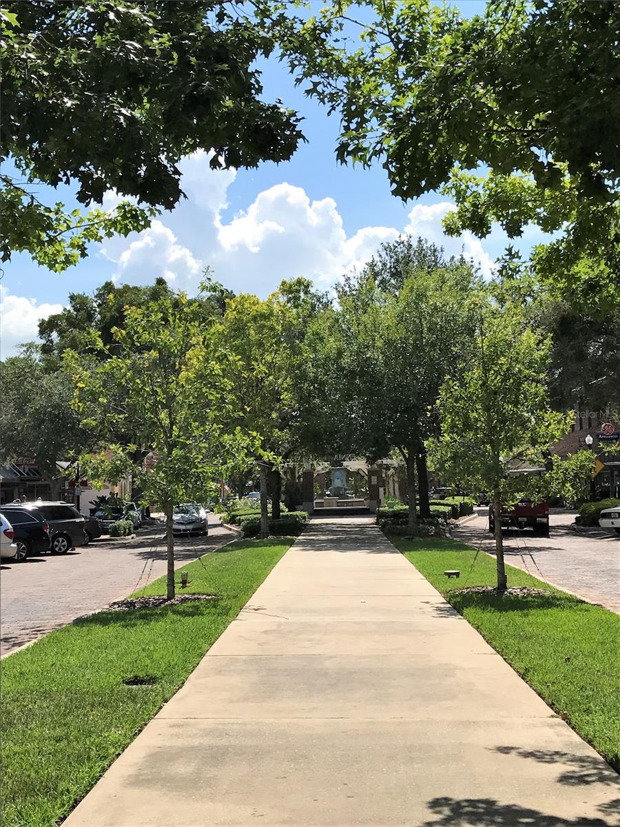 951 VINEYARD RIDGE RD, MINNEOLA, FL, 34715
