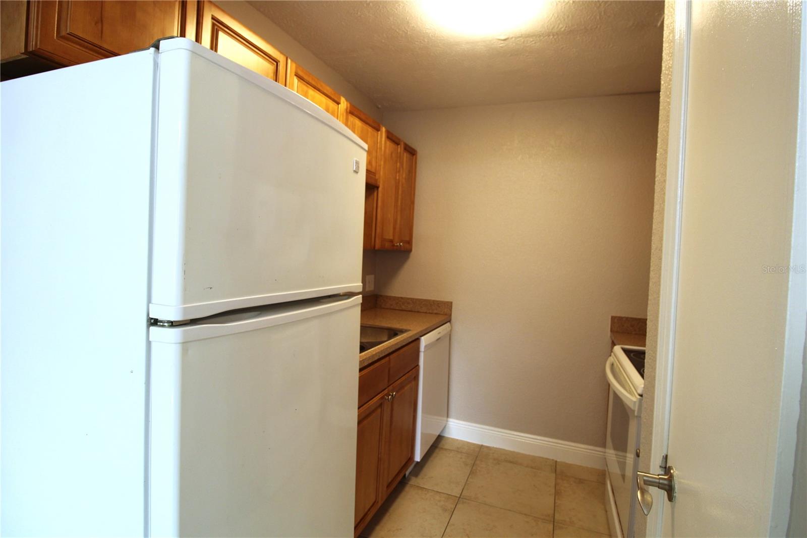 13731 JUNIPER BLOSSOM DR #201, TAMPA, FL, 33618