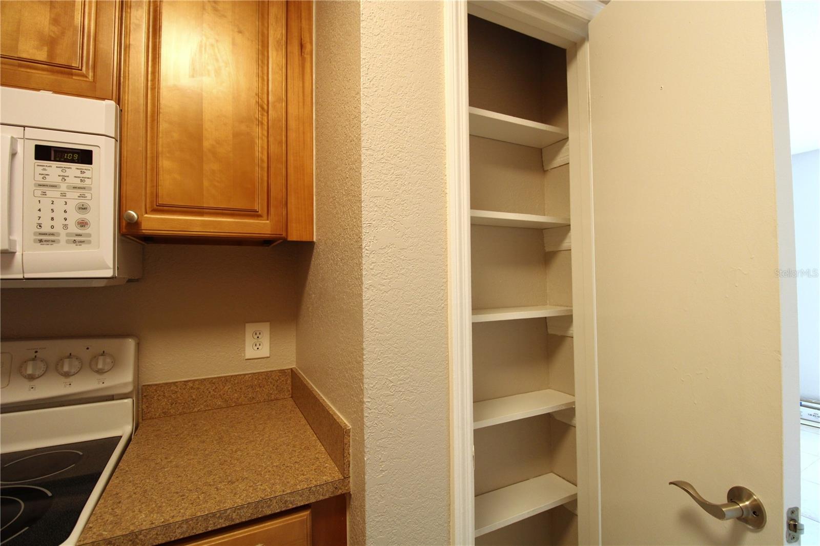 13731 JUNIPER BLOSSOM DR #201, TAMPA, FL, 33618