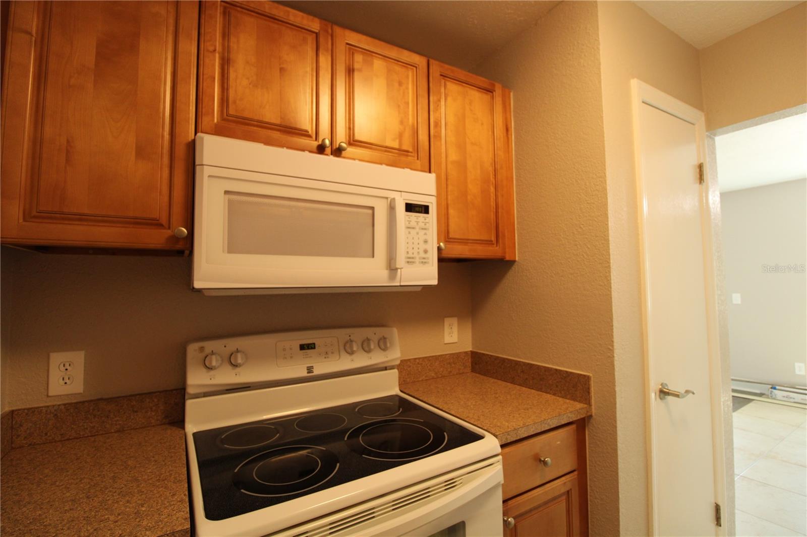 13731 JUNIPER BLOSSOM DR #201, TAMPA, FL, 33618