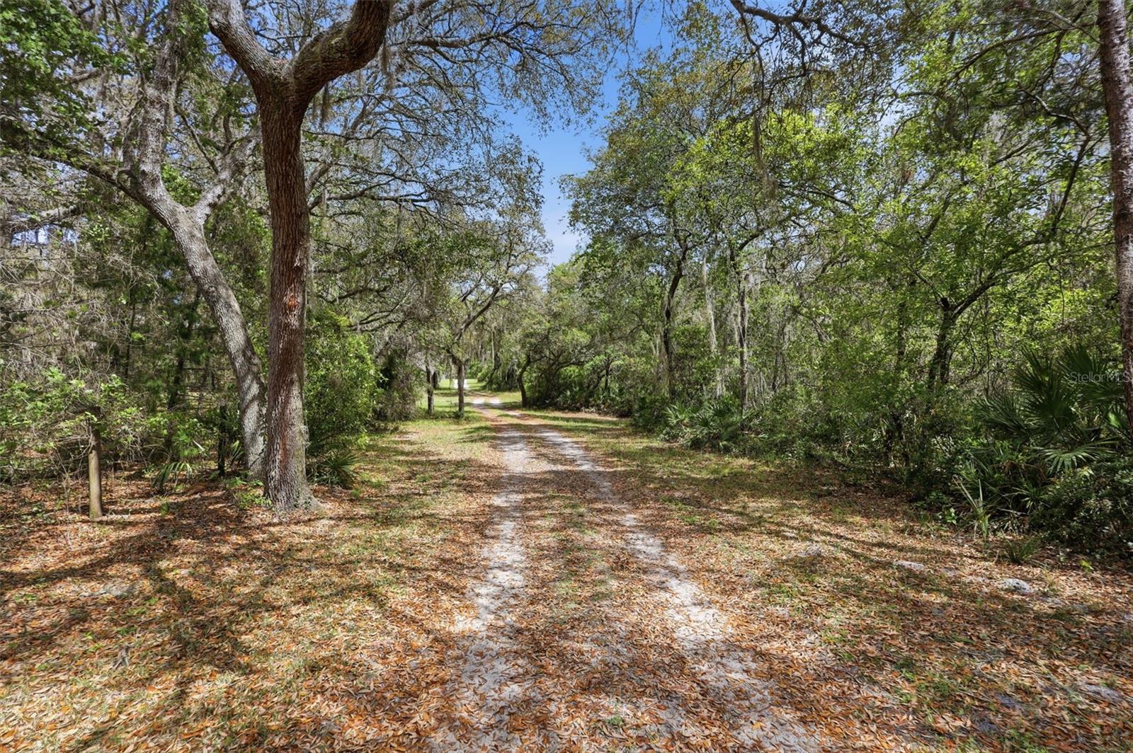 4155 MARSH RD, DELAND, FL, 32724