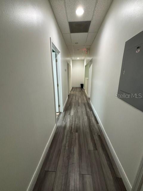 1900 N MILLS AVE, ORLANDO, FL, 32803