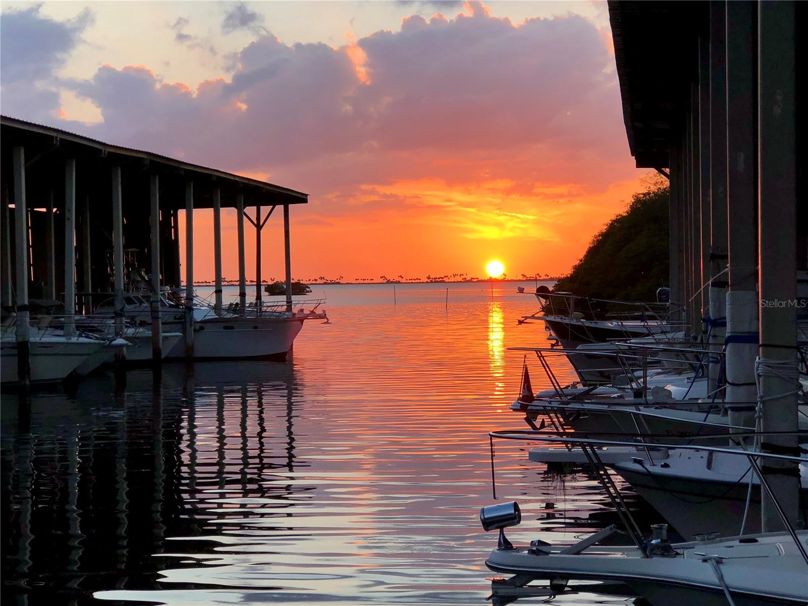 1001 LENNOX RD W, PALM HARBOR, FL, 34683
