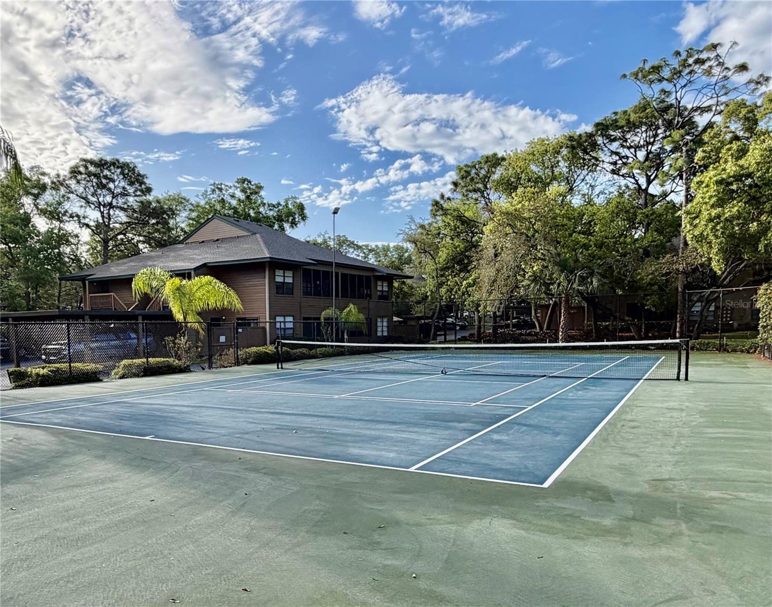 1001 LENNOX RD W, PALM HARBOR, FL, 34683