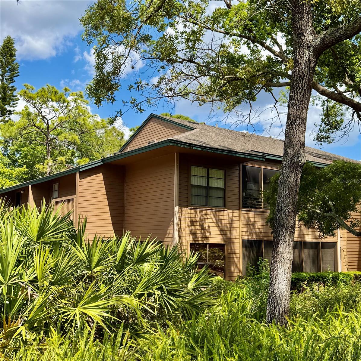 1001 LENNOX RD W, PALM HARBOR, FL, 34683
