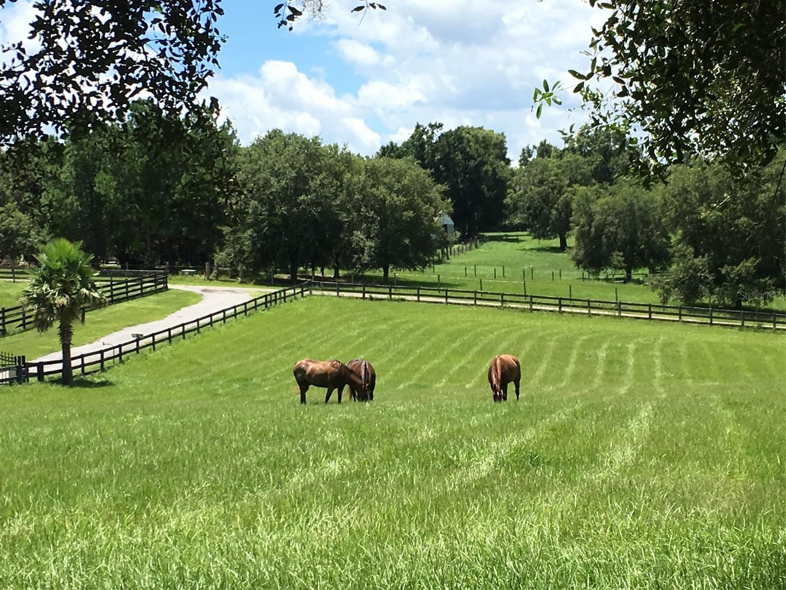 2380 NARROW WAY, DELAND, FL, 32720