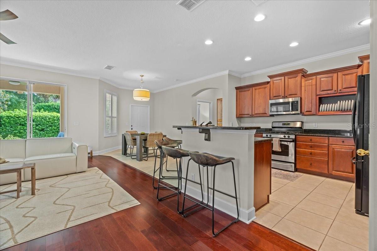 118 BIRCHMONT DR, DELAND, FL, 32724