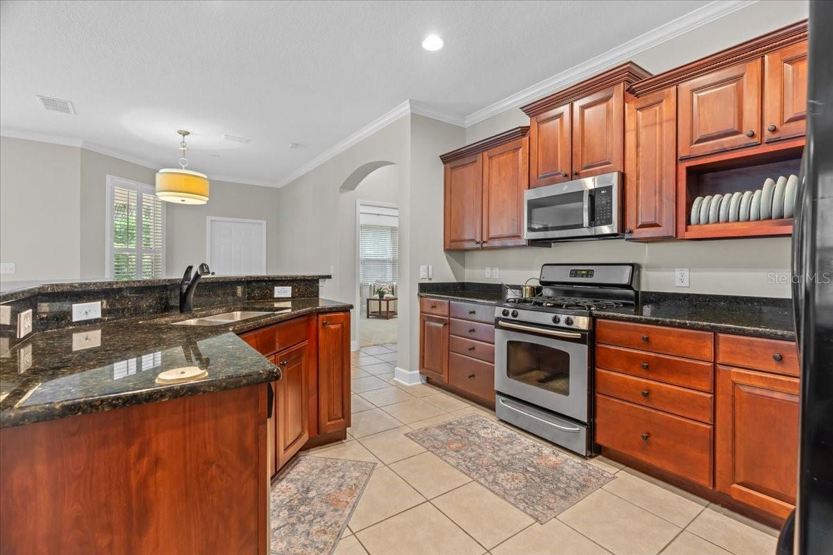 118 BIRCHMONT DR, DELAND, FL, 32724