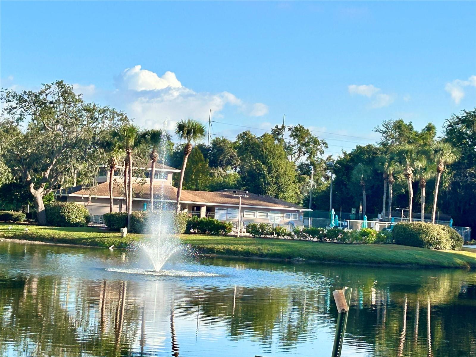 4908 MYRTLE OAK DR #13, NEW PORT RICHEY, FL, 34653
