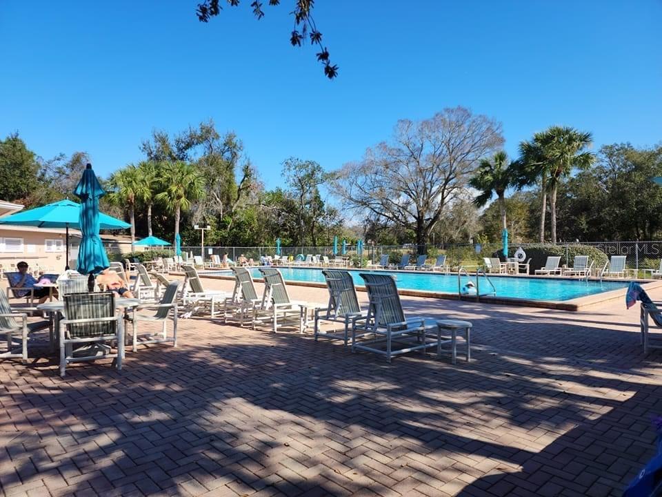 4908 MYRTLE OAK DR #13, NEW PORT RICHEY, FL, 34653