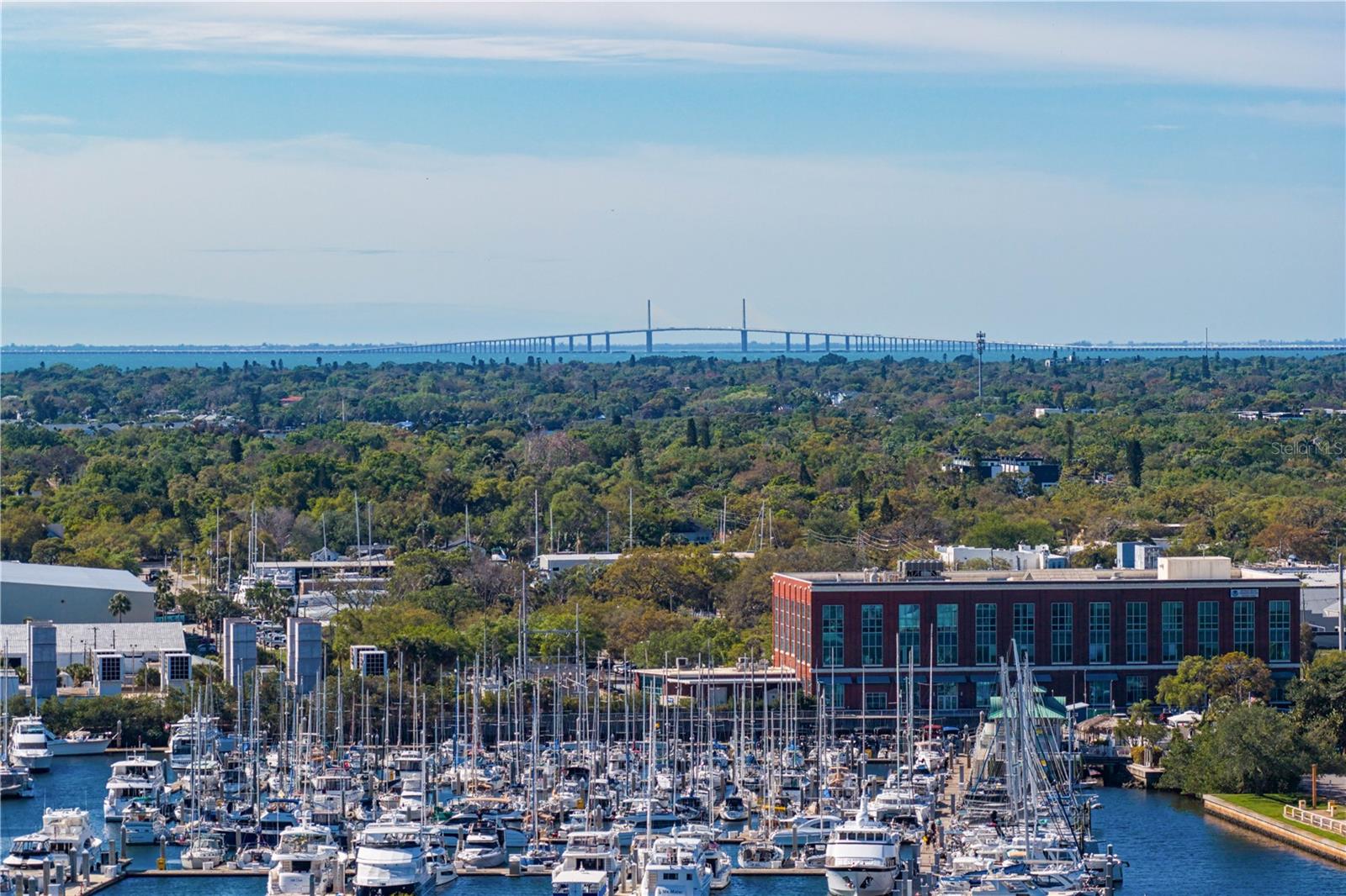 Gorgeous View of Marina and Skyway Bridge