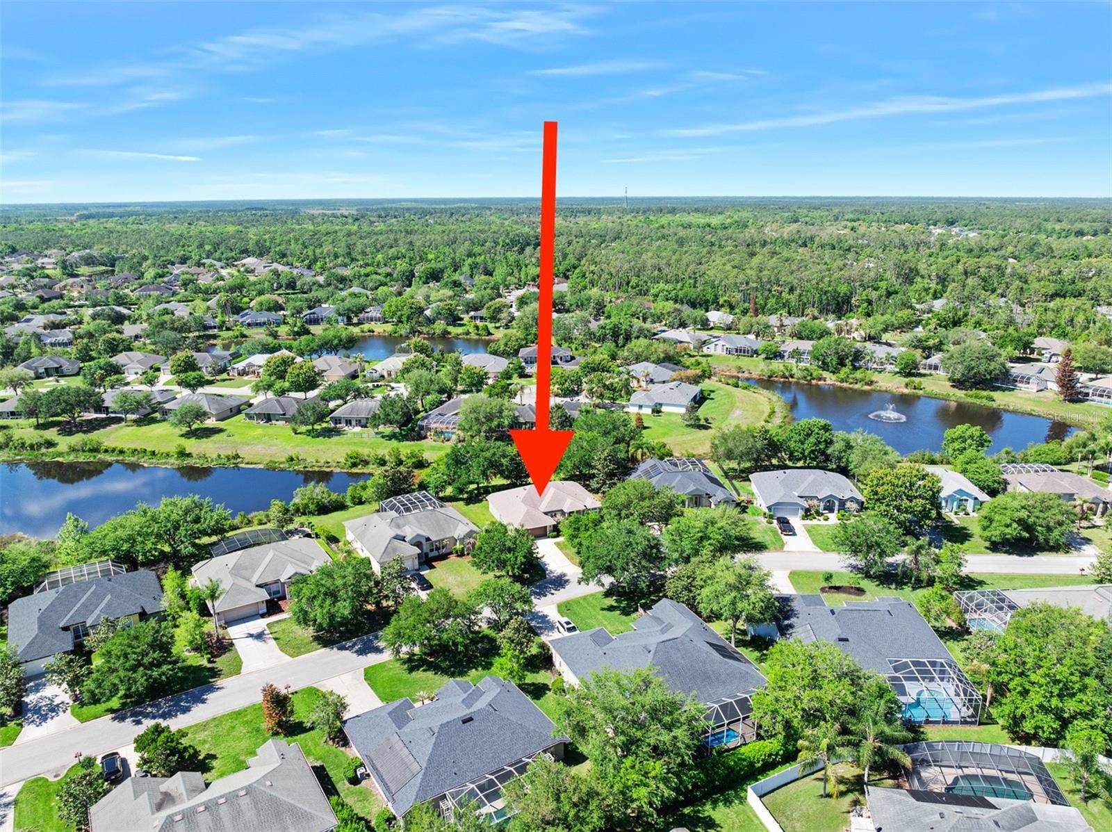 120 BLACK HICKORY WAY, ORMOND BEACH, FL, 32174