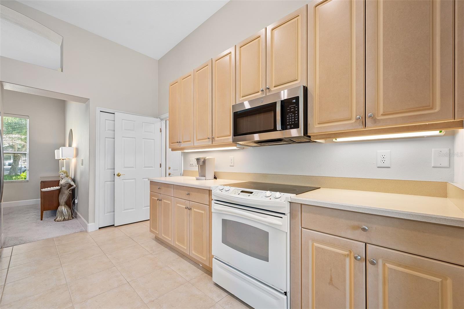 120 BLACK HICKORY WAY, ORMOND BEACH, FL, 32174