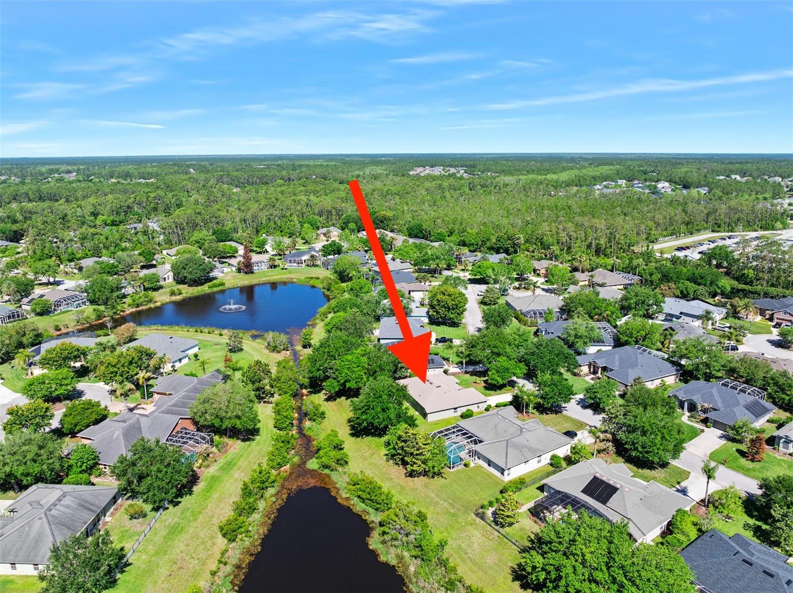 120 BLACK HICKORY WAY, ORMOND BEACH, FL, 32174