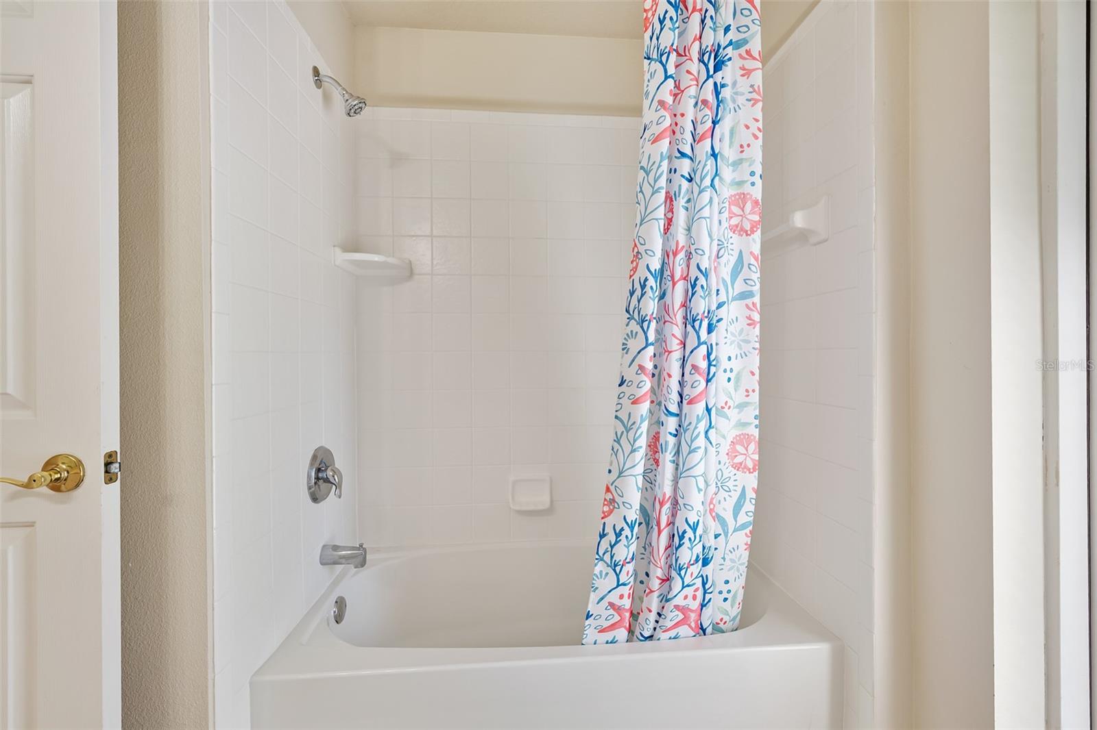 120 BLACK HICKORY WAY, ORMOND BEACH, FL, 32174