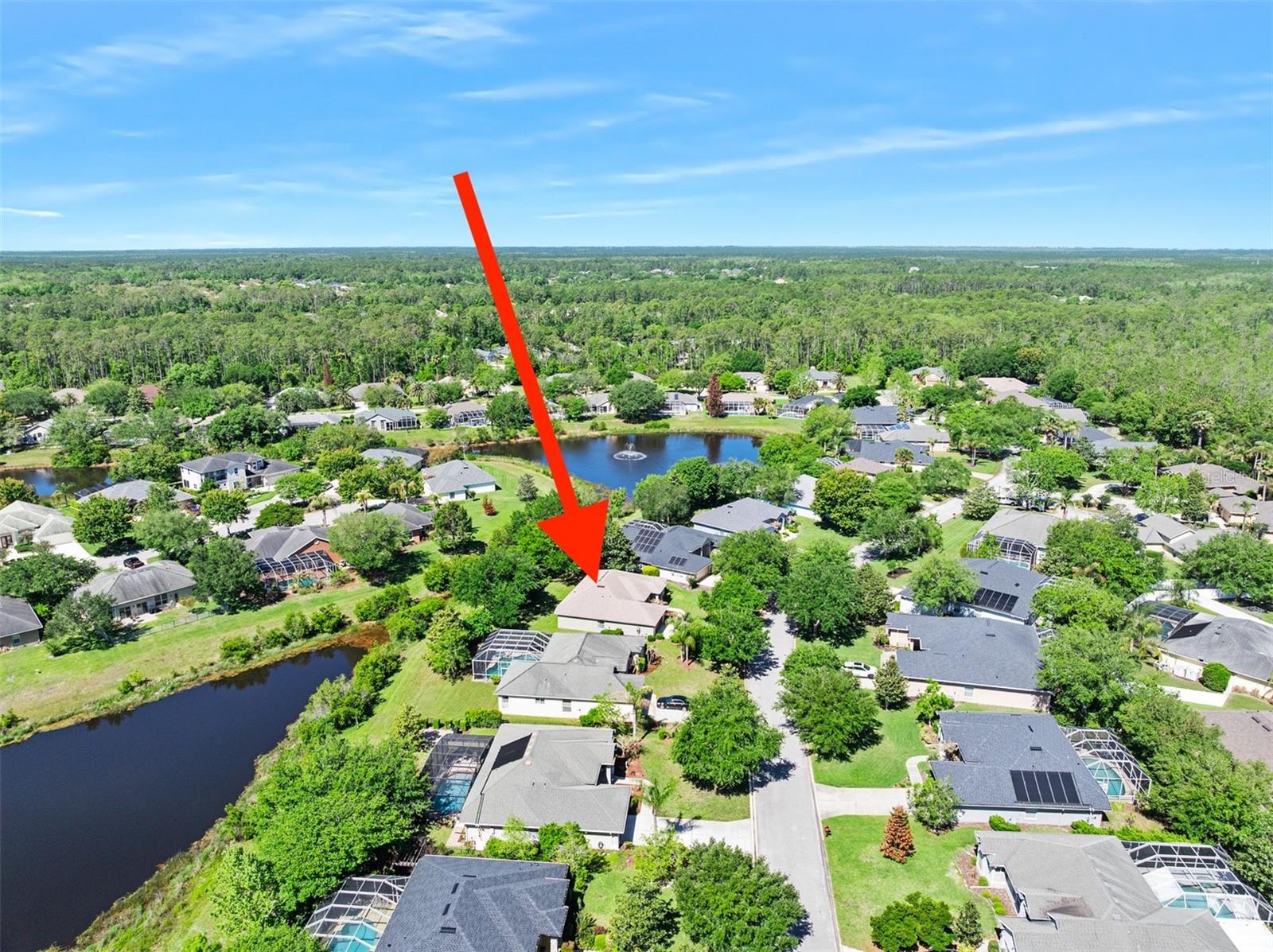 120 BLACK HICKORY WAY, ORMOND BEACH, FL, 32174