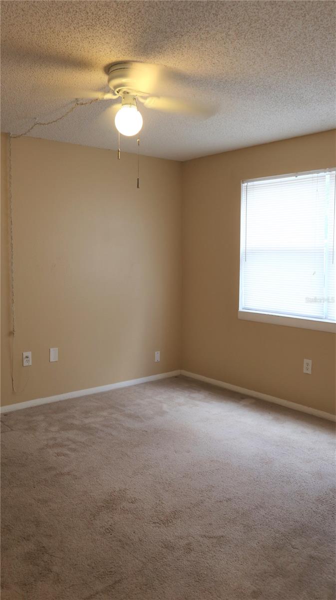 5024 TERRACE PALMS CIR #101, TAMPA, FL, 33617